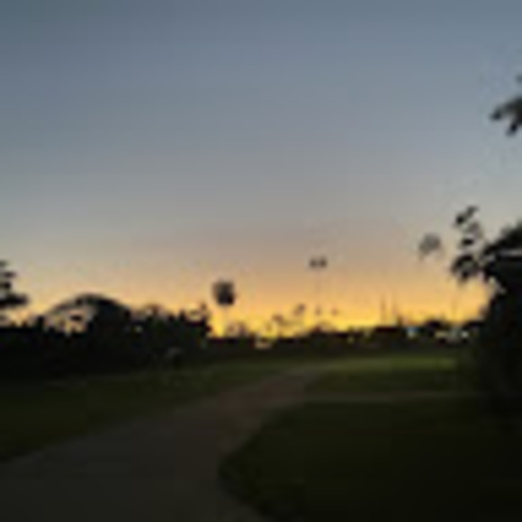 Meet your Posher, Anelalani - Picture 1 of 1